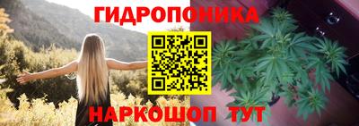 apvp Кунгур