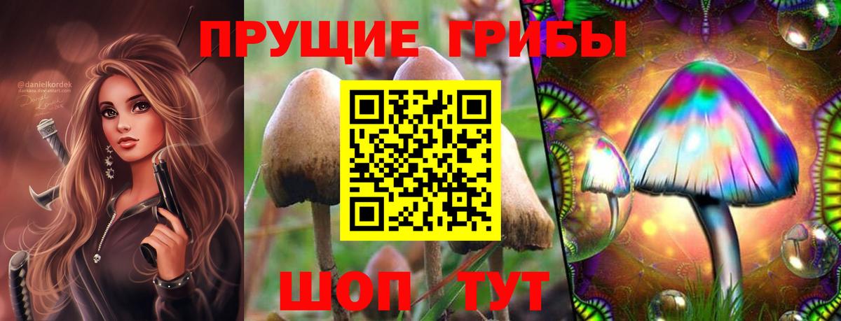 Улан-Удэ  Псилоцибиновые грибы ЛСД  Вход с VPN 